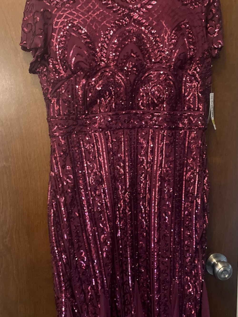 R & M Richards Wine Sequin Maxi Dress